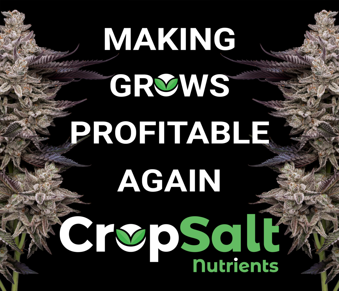 CROPSALT OUTPERFORMS EVERY LINE ON THE MARKET 1204