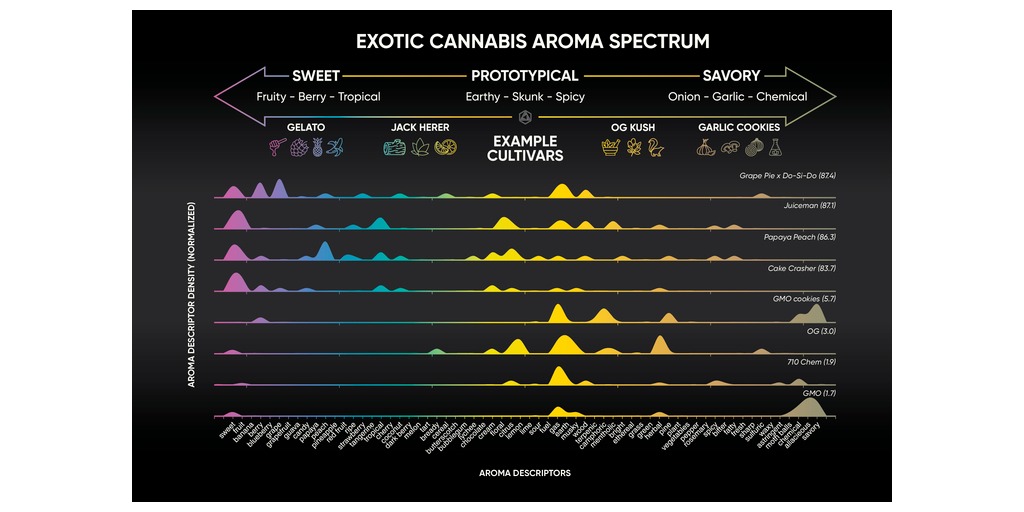 Abstrax Discovers New Exotic Flavor Compounds and Cannabis’ Hidden Flavor Spectrum: Beyond Terpenes to a World of Sweet, Savory, Citrus, and Fruity 935